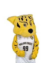 Jagua Mogidascruzes Sticker by Mogi Basquete