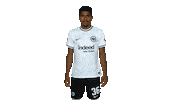 Turn Sge Sticker by Eintracht Frankfurt
