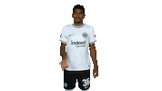 Sge Think Sticker by Eintracht Frankfurt