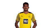 Happy I Love You Sticker by Bundesliga