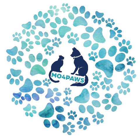 mo4paws giphyupload cat dog cats Sticker