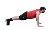 Active Sticker by Altafit