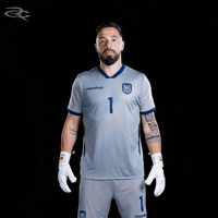 Fifa World Cup Ecuador GIF by Respective