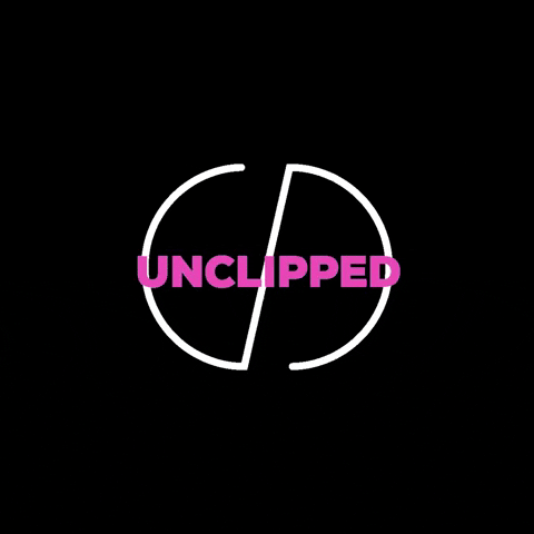 lespinmtl giphygifmaker le spin unclipped le spin unclipped GIF