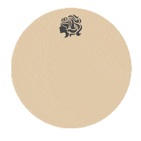 Bnl Sisterlocks Sticker by Bee Natural Locks