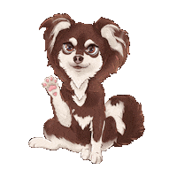 Aeon Pets Sticker