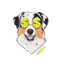 Aeonpets Sticker