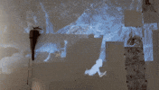 Argentina Juan Miceli GIF
