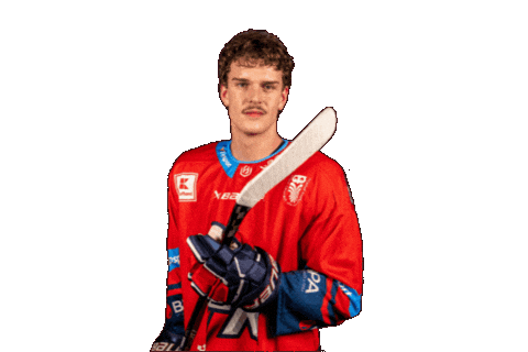 Ukkings Sticker by UK KINGS PRAGUE