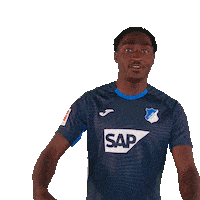 Sport Bundesliga Sticker by TSG Hoffenheim