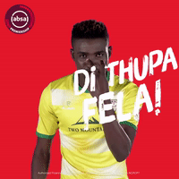 south african soccer GIF