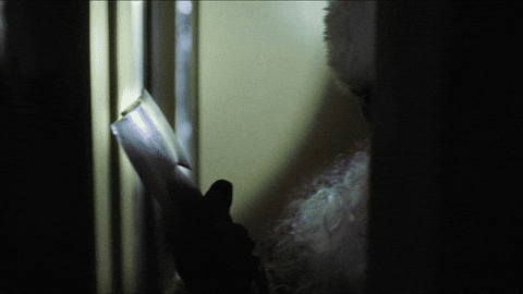 Santa Claus Christmas GIF by STUDIOCANAL