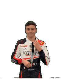 Racing Race Sticker by ANS Motorsport