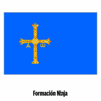 Flag Spain GIF by Formación Ninja