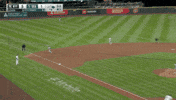 New York Yankees Wow GIF by Jomboy Media