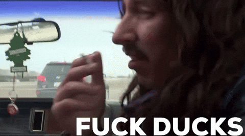 Anaheim Ducks Nhl GIF by Bent Stick Brewing