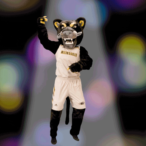 Dance Pounce GIF by UW-Milwaukee