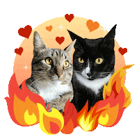 Hearts On Fire Flames Sticker