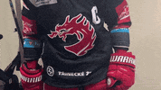 High Five Ice Hockey GIF by HC Oceláři Třinec