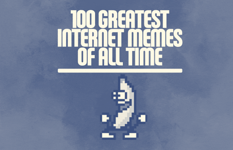 Internet GIF by giphydiscovery