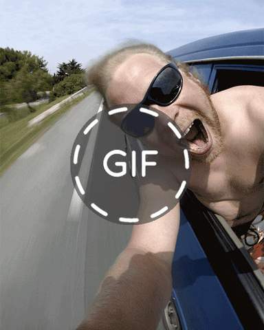 selfie fail GIF by Mitteldeutscher Rundfunk
