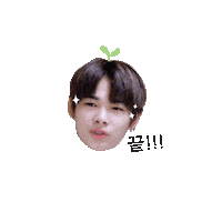 Enhypen Sticker