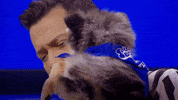 Animal Planet GIF by Puppy Bowl