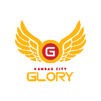 Kansas City Kc Sticker by Women's National Football Conference