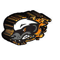 Baseball Camo Sticker by gohoneyhunters