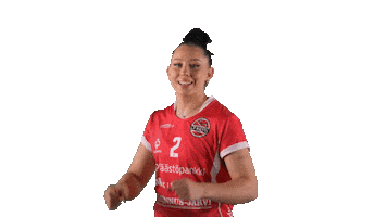 Sport Volleyball Sticker by LP Viesti