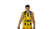 Ewe Baskets Basketball Sticker by EWE Baskets Oldenburg