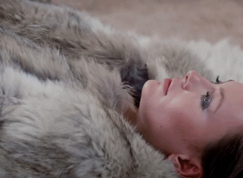 furglamor giphyupload oh no fur oh man GIF