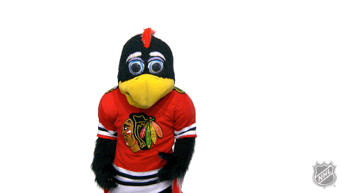Confused Chicago Blackhawks GIF by NHL