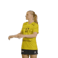 Rema1000Ligaen Sticker by Norsk Topphåndball