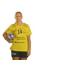 Rema1000Ligaen Sticker by Norsk Topphåndball