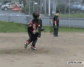 baseball fail GIF