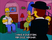 homer simpson episode 13 GIF