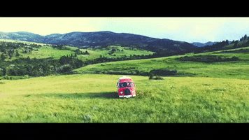 montana GIF