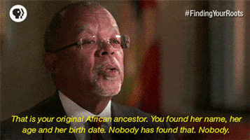 finding your roots black history GIF by PBS