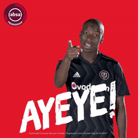 south african soccer GIF