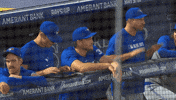 Pitching Blue Jays GIF by Toronto Blue Jays