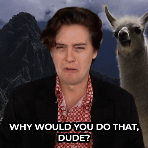 Jimmy Fallon Comedy GIF by The Tonight Show Starring Jimmy Fallon