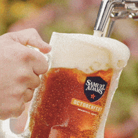 Sam Adams Craft Beer GIF by Samuel Adams Beer