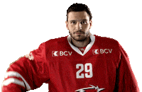 Lhc Lausannehc Sticker by Lausanne Hockey Club