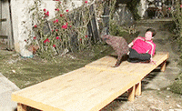 running man i laughed so hard because of this baby angel GIF