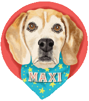 Dog Lettering Sticker by cebrazul