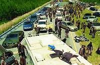 the walking dead horror GIF