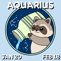 Bitcoin Raccoon GIF by Ordinary Frends