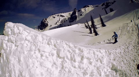 happy torstein horgmo GIF by EchoBoom Sports