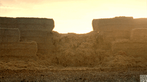 top gear hay GIF by BBC America